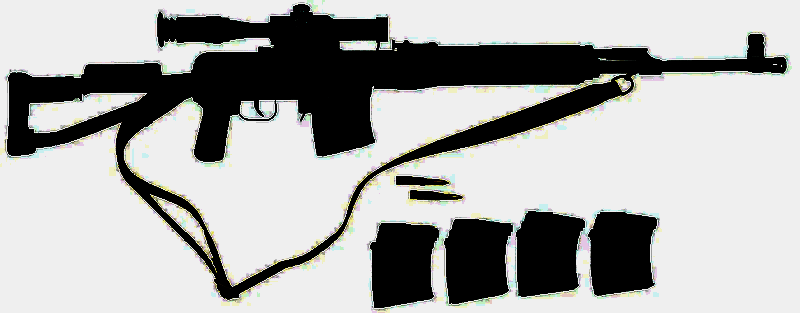 SVDS狙击枪与配套10发弹匣特写