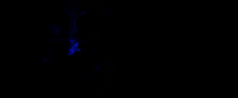 蝮蛇专属SVDS狙击枪，配备高倍镜与雪地迷彩涂装