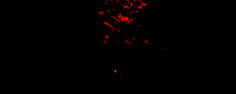 游戏场景截图，显示一处废墟环境，地面上散落着物品和装备