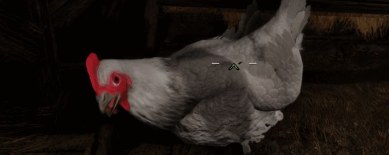 Jann Heber医生位于南方之角的小屋外景，背景是荒凉而神秘的土地