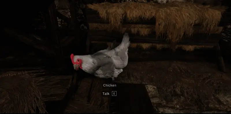 一只羽毛鲜艳、神情古怪的鸡站在岩石上，背景是古老遗迹与夕阳余晖交织的画面