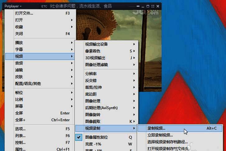 PotPlayer视频录制选项界面