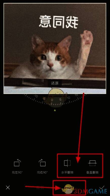 旋转设置界面展示，显示水平翻转与垂直翻转选项