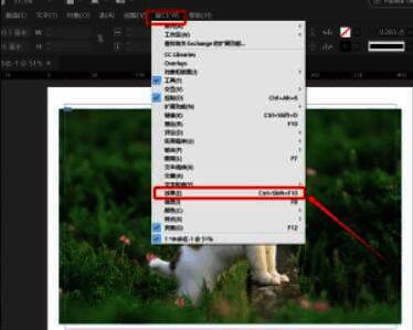 效果面板展开，不透明度滑块和混合模式选项清晰可见