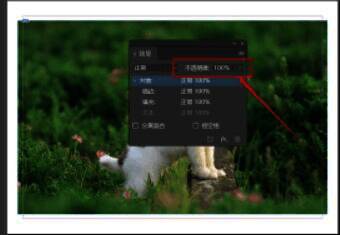效果面板特写，不透明度数值被高亮标注