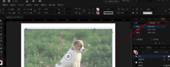 图片选中状态下，不透明度被调整至40%，图层边缘呈现半透明状态
