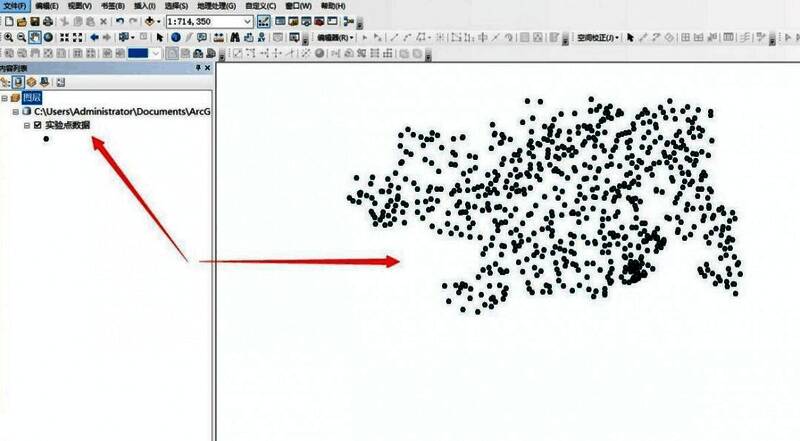 实验点数据成功加载后的地图视图，多个标记点清晰可见