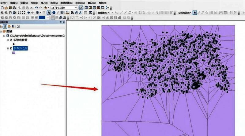 最终生成的泰森多边形覆盖在地图上，呈现出清晰的分界线与区域划分