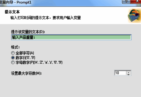 变量属性对话框中的提示信息和字符限制设置界面