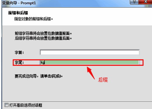NiceLabel变量后缀设置界面截图，显示已输入的'kg'