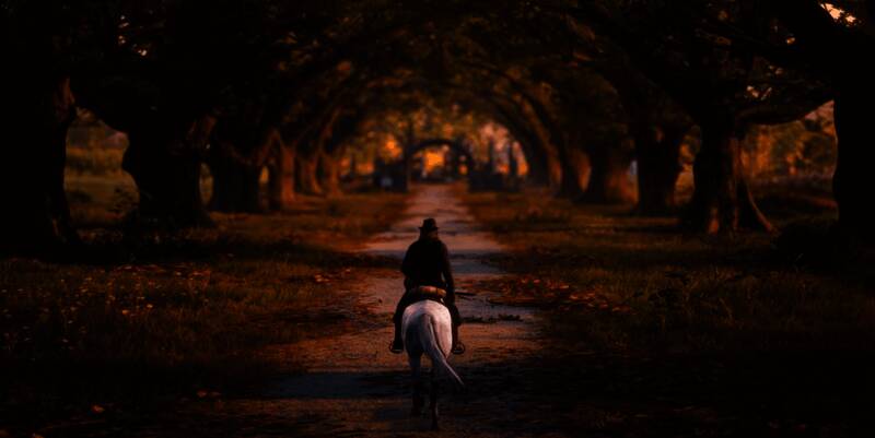 R星官网支持页面截图，显示新增的在线迁移选项