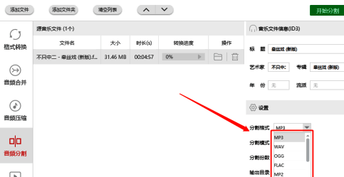 音频分割格式选择界面，包含MP3、WAV、FLAC等多种常见音频格式选项