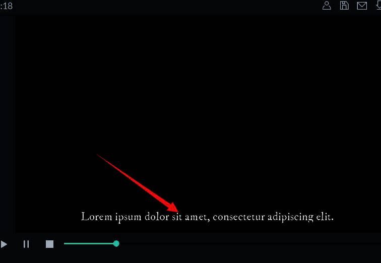 字幕轨道已添加底边字幕选项