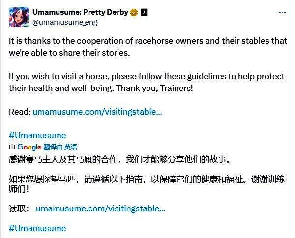 游客在工作人员监督下远距离观看赛马活动