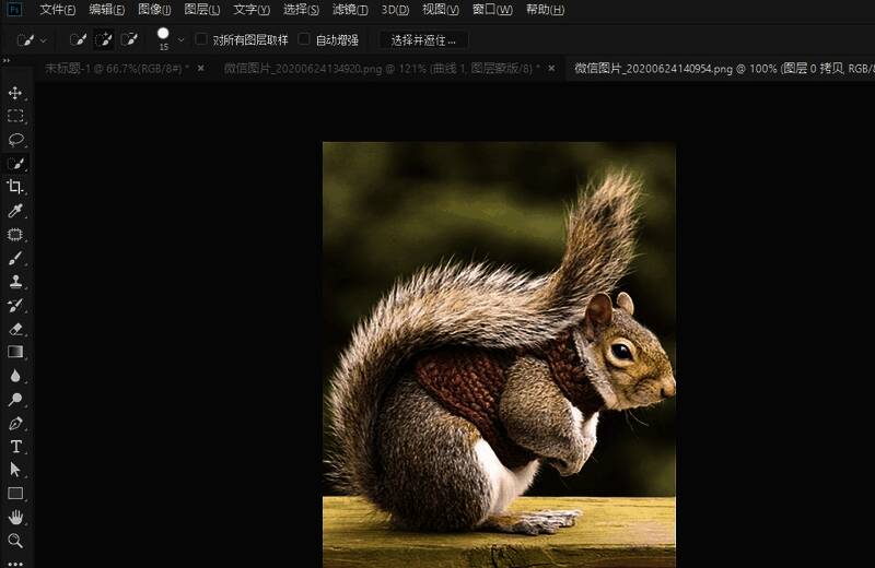 Photoshop界面展示，已打开需要处理的动物图片