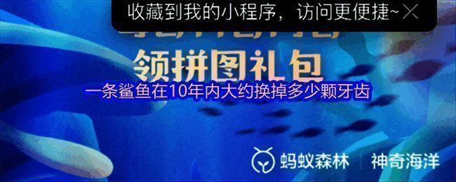 支付宝神奇海洋每日答题界面示意图