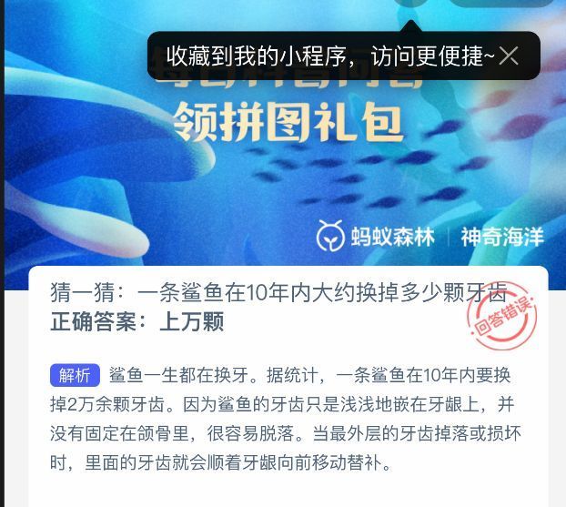 鲨鱼牙齿结构解析图示，展示牙齿排列及替换过程