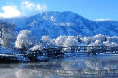 调色最终版，画面色彩饱和度提升，整体氛围更加梦幻