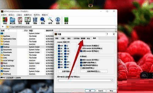WinRAR查看器设置页面，下拉菜单中列出多种查看器类型选项