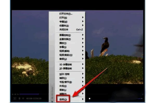 参数设置界面截图，突出显示字幕处理入口