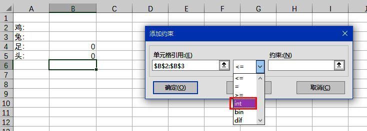 约束条件添加界面，包含整数与等式条件设置