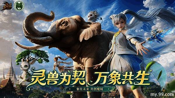 志愿者在野外开展亚洲象保护工作的现场照片