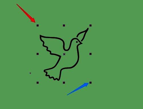 鸽子图形被选中，周围出现调整控制点