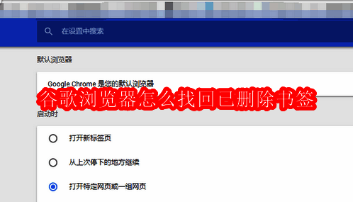 谷歌浏览器界面截图展示书签管理区域