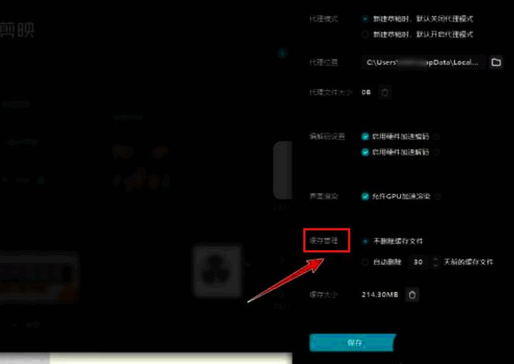 缓存管理界面包含自动删除和清理天数设置选项