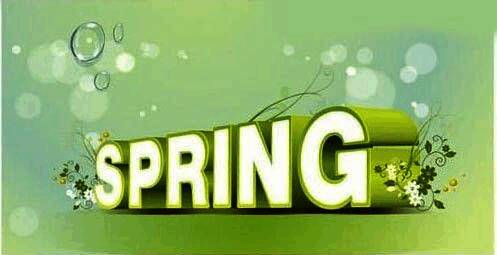 CorelDRAW界面展示完成的春天立体字效果，包含装饰性花朵和草叶元素