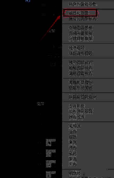 图层栅格化操作界面
