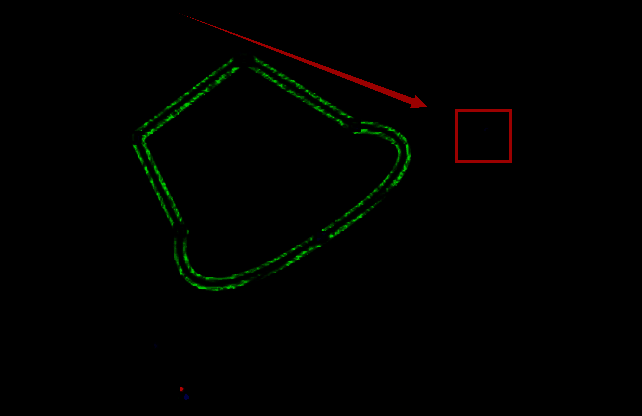 图形编辑过程中顶点方向调整的实时预览效果