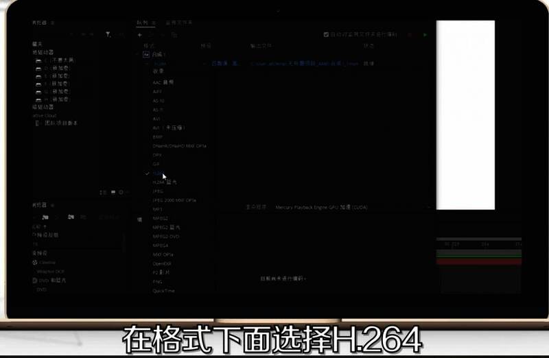 Adobe Media Encoder界面展示格式选择区域