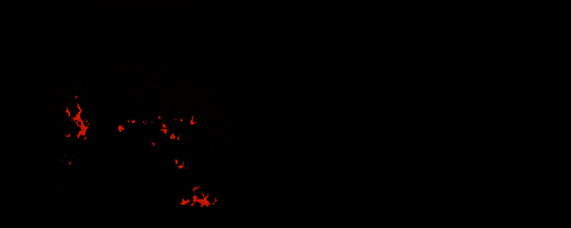 《哈玛雷特》游戏封面风格图，呈现出浓厚的暗黑奇幻氛围