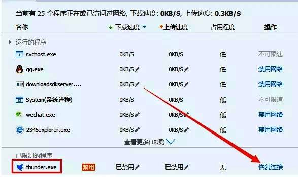 迅雷程序网络连接恢复正常显示