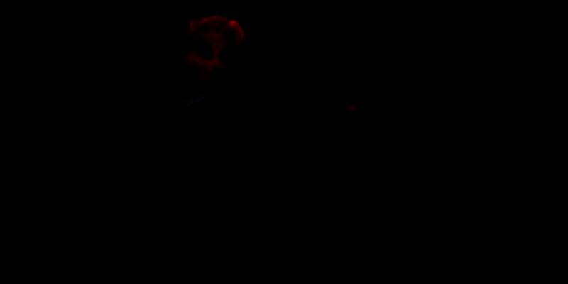 林克身着西装站在法庭中央，身后是巨大的法律天平图案