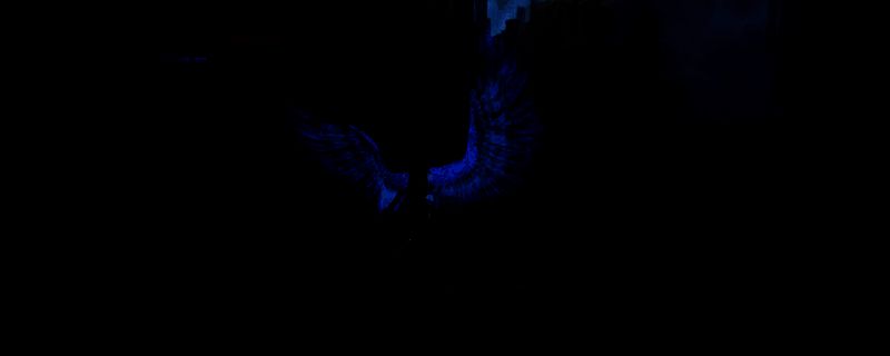 《公主》游戏封面，一位神秘女性角色身着华丽服饰，背景为黑暗奇幻风格的宫殿场景