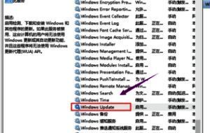 Windows Update服务详情界面，显示已停止状态