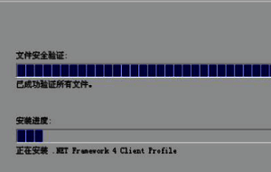 安装程序运行界面，显示安装进度条已完成