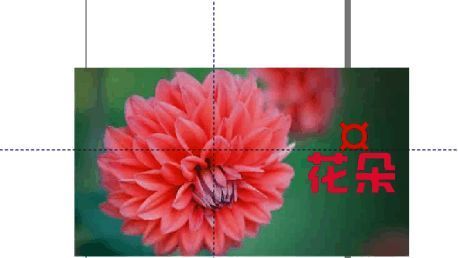 文本框中展示已插入的特殊字符，效果完整呈现