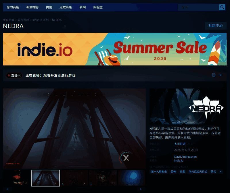 NEDRA游戏内战斗场景截图，展示角色使用武器对抗敌人的精彩瞬间