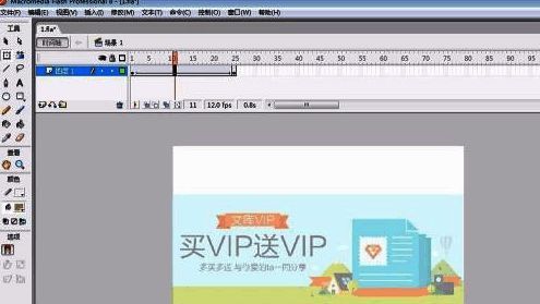 最终效果测试界面，显示图片渐显动画的播放状态