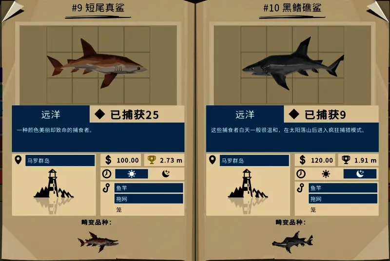 四种鲨鱼排列图