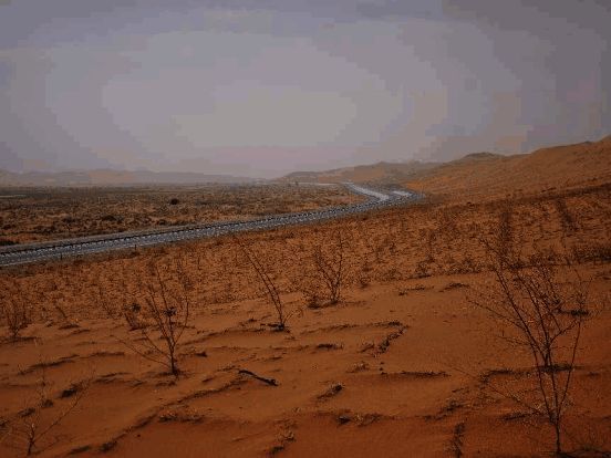 阿拉善盟沙漠绿化成果对比图，展现绿色植被覆盖变化