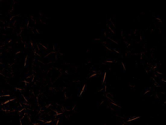 地图展示阿拉善盟三大沙漠位置及锁边林带建设进度