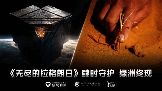 历年《无尽的拉格朗日》地球日活动回顾图，展示历年植树成果