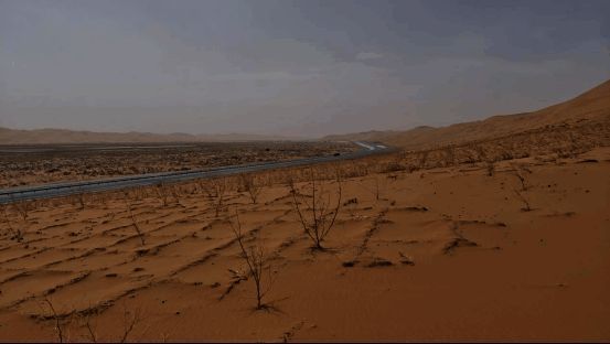 工作人员使用工具铺设草方格，操作过程清晰可见