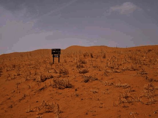 已完成铺设的草方格区域全景图，绿色植被初现规模