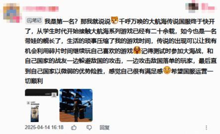 玩家反馈截图，表达对游戏理念的认可