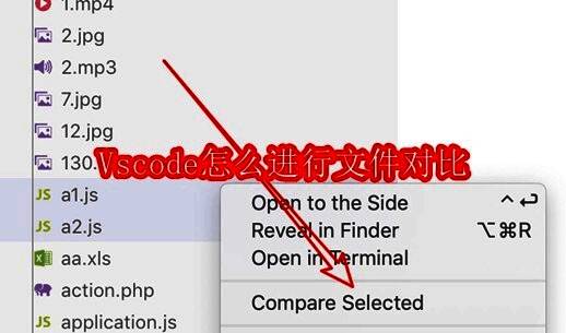 Vscode界面展示，资源管理器中显示多个文件